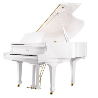 Essex EGP155C PWH Blanc poli