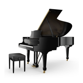 Steinway & Sons B-211 PE Noir poli