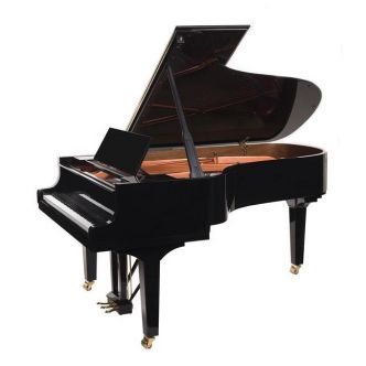 Doutreligne Master D4 PE Black polished