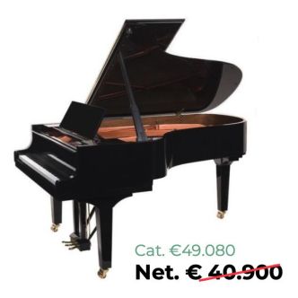 Doutreligne Master D6 PE Black polished