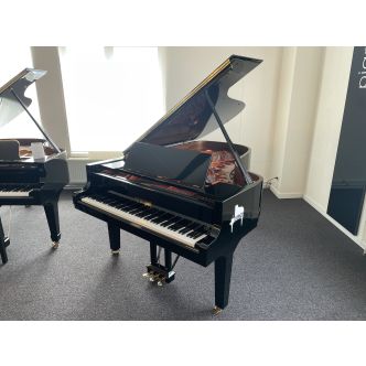 Doutreligne Master D6 QRS (2020)