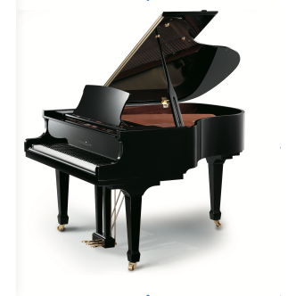 Petrus Ypma PY160 PE Noir poli