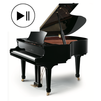 Petrus Ypma PY160 QRS PE Noir poli