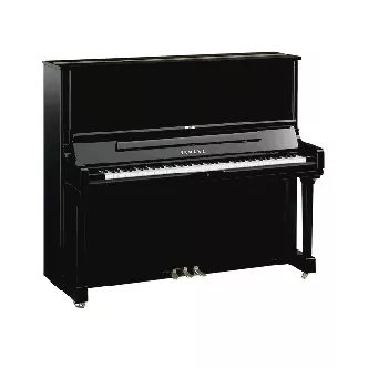 Yamaha YUS3 PE Noir poli