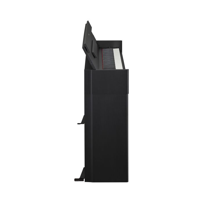 Yamaha Arius YDP-S55