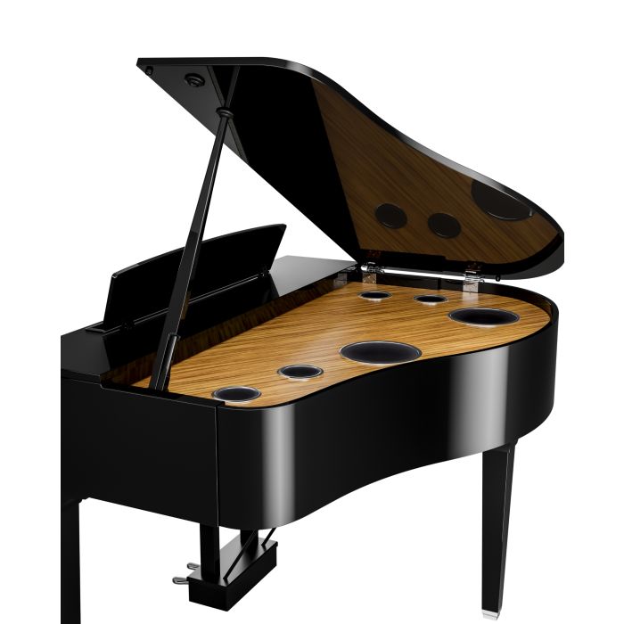 Yamaha Clavinova CLP-895GP