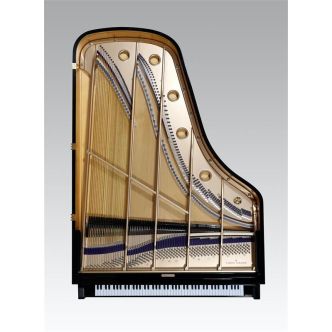 Chris Maene Straight Strung Parlor Grand CM//228 Noir poli