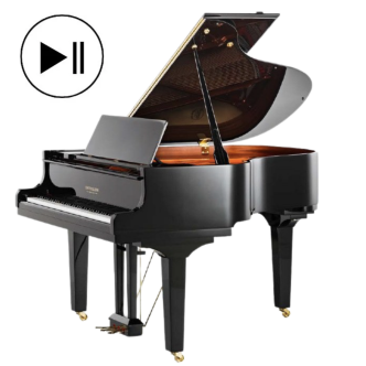 Doutreligne Salon II QRS Record PE Noir poli