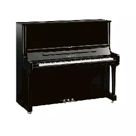 Yamaha YUS3 PE