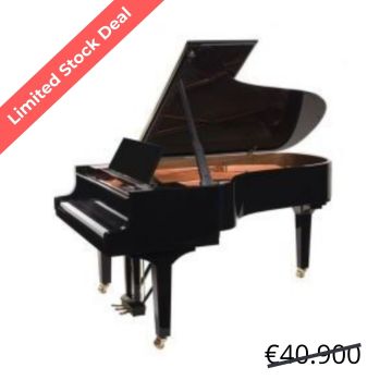 Doutreligne Master D6 PE Noir poli