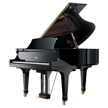 Boston GP178PE PE Black polished