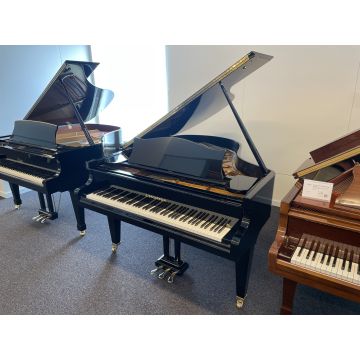 C. Bechstein M (1985)