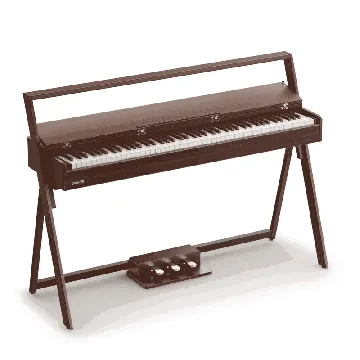 Donner DWP-50 Noyer satiné