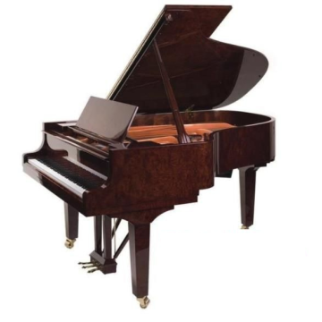 Doutreligne Master D4 BUB Bubinga polished