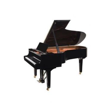 Doutreligne Master D6 PE Noir poli