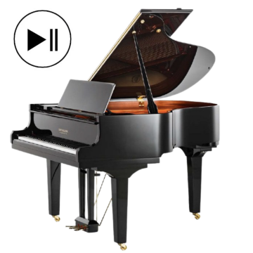 Doutreligne Salon II QRS Record PE Zwart hoogglans