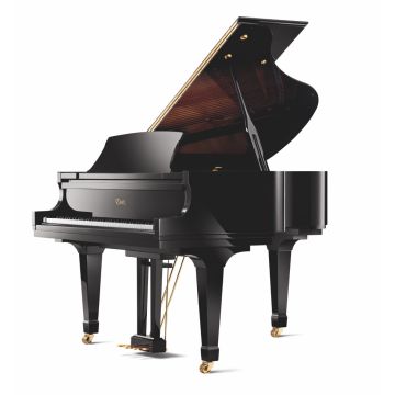 Essex EGP155C PE Noir poli