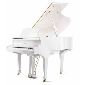 Essex EGP155C PWH Blanc poli