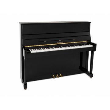 Hoffmann P120 (2003)