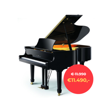 Petrus Ypma PY173 PE Black polished