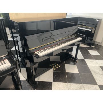 Petrus Ypma UP-118 (2009)