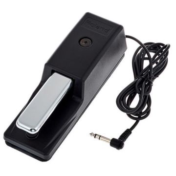 Roland DP-10 single pedal