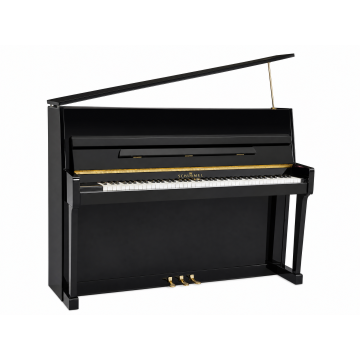 Schimmel 114 (1992)