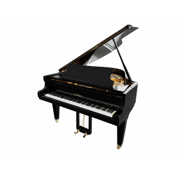 Schimmel 150 (1984)