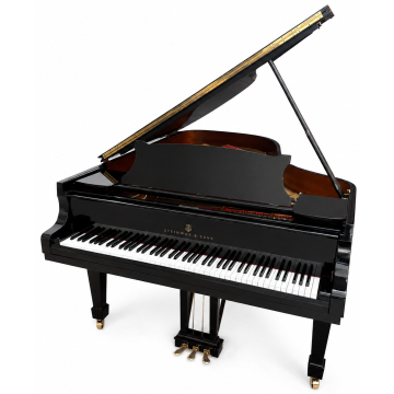 Steinway & Sons B-211 (2002)