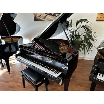 Steinway & Sons O-180 (1921)