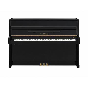 Yamaha B1 SC2 (2019)