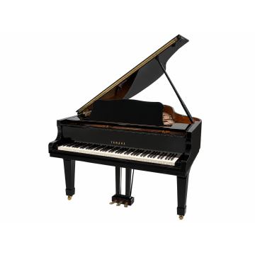 Yamaha C3 (5925861)