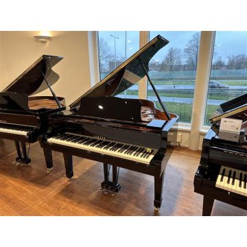Yamaha C3 (5925861)