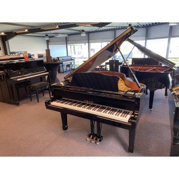 Yamaha G2 (1986)