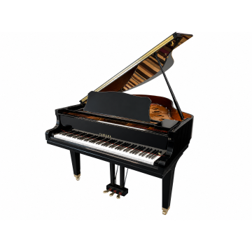 Yamaha GC1 Silent (2013)