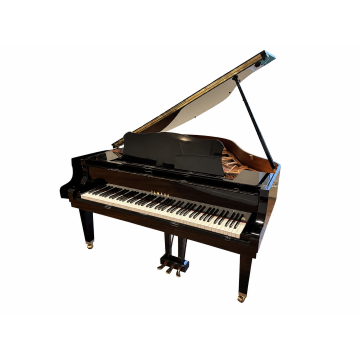 Yamaha GP1 (5968397)