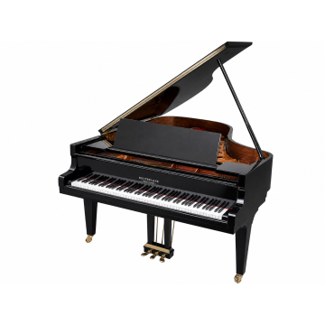 Doutreligne Master D6 (2017)