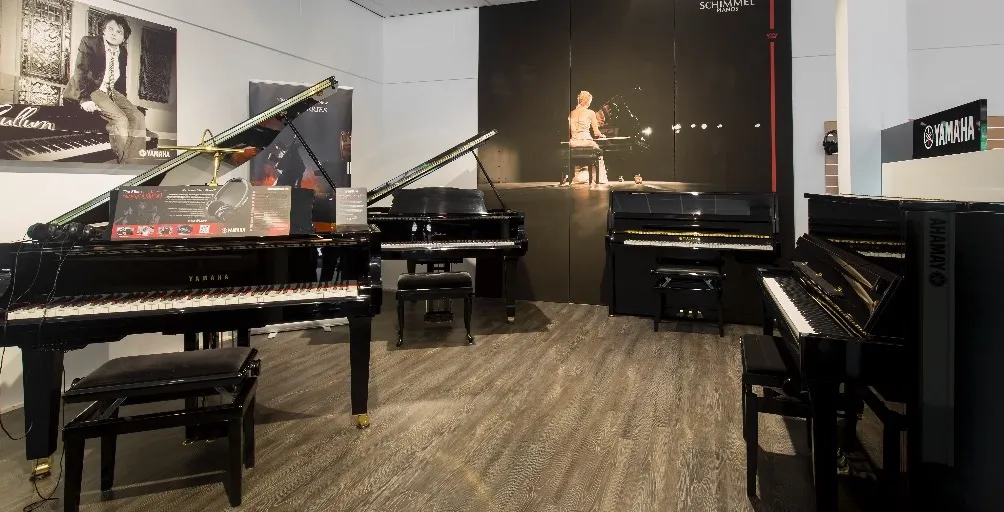 Delft akoestische piano's