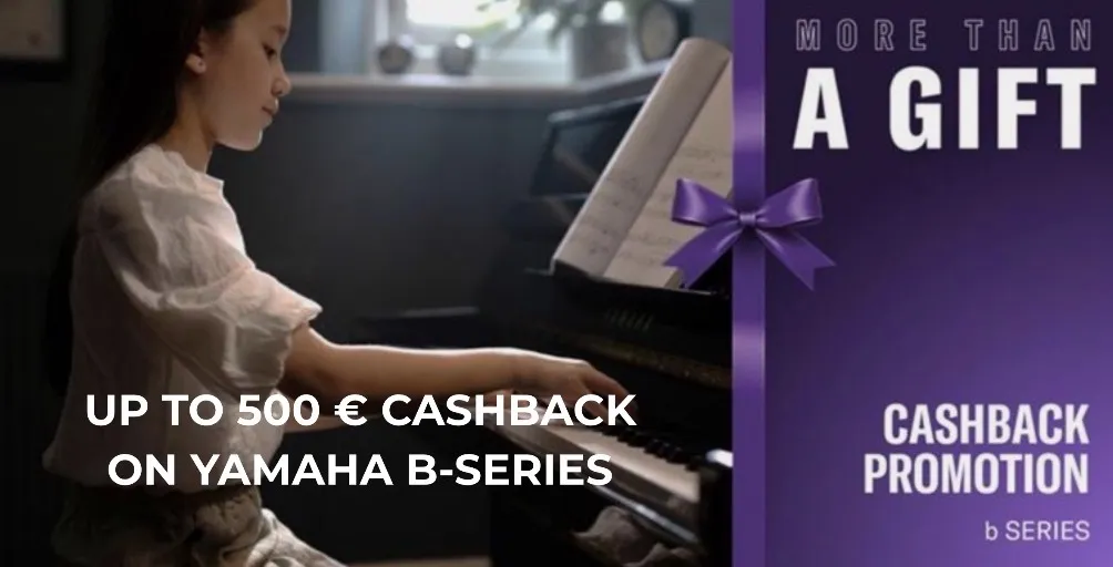 Beleving en concerten bij Piano's Maene