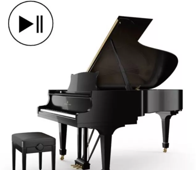 Steinway & Sons Spirio r daghuur voor events