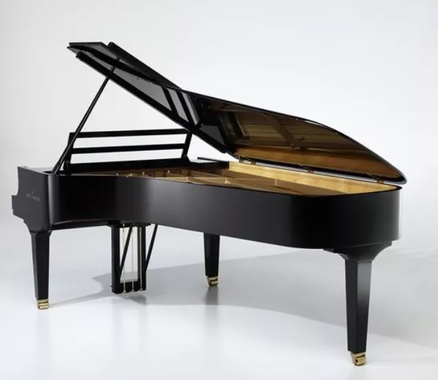 concert verhuur piano Chris Maene