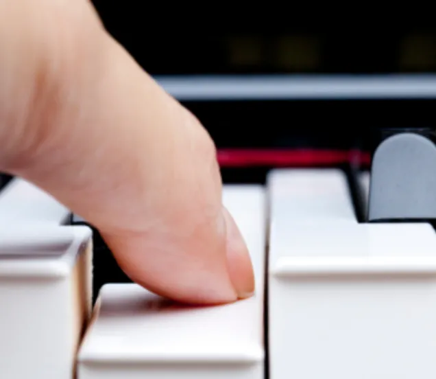 Gewogen klavier digitale piano