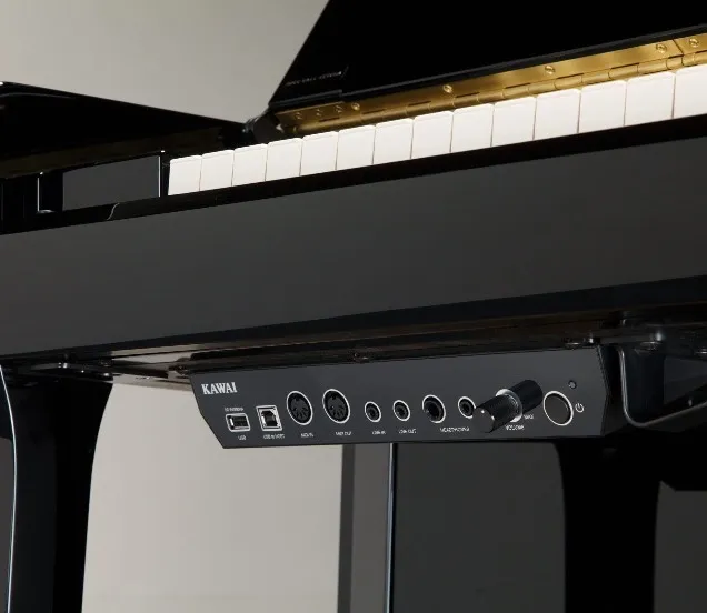 Kawai AnyTimeX