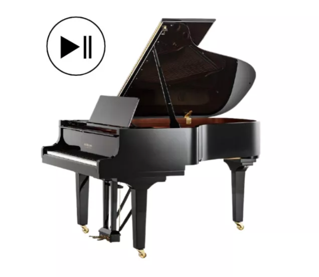 concertverhuur Piano's Maene doutreligne Conservatoire qrs