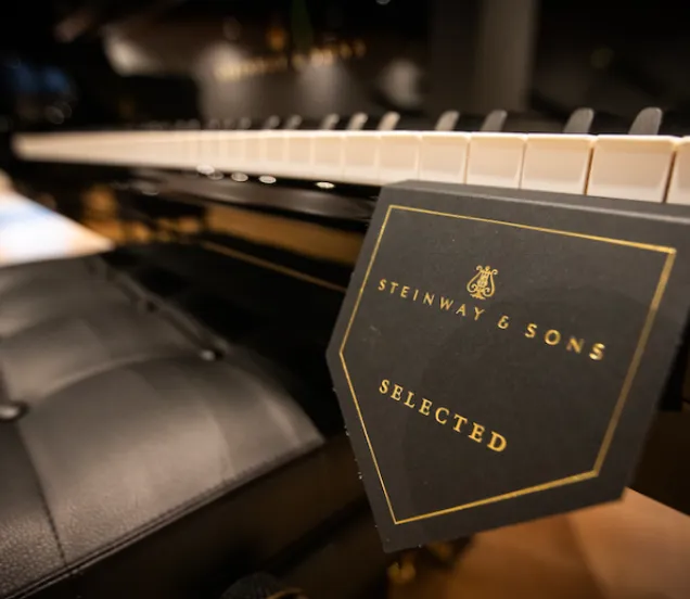 Zijn er zoveel verschillen tussen de Steinway concertpiano's?