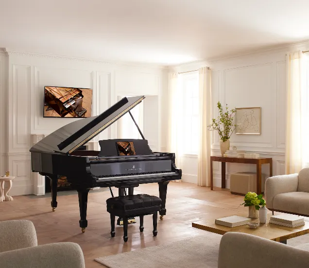 steinway in huis