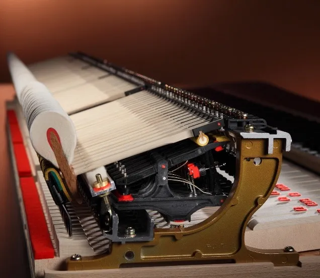 Shigeru Kawai action