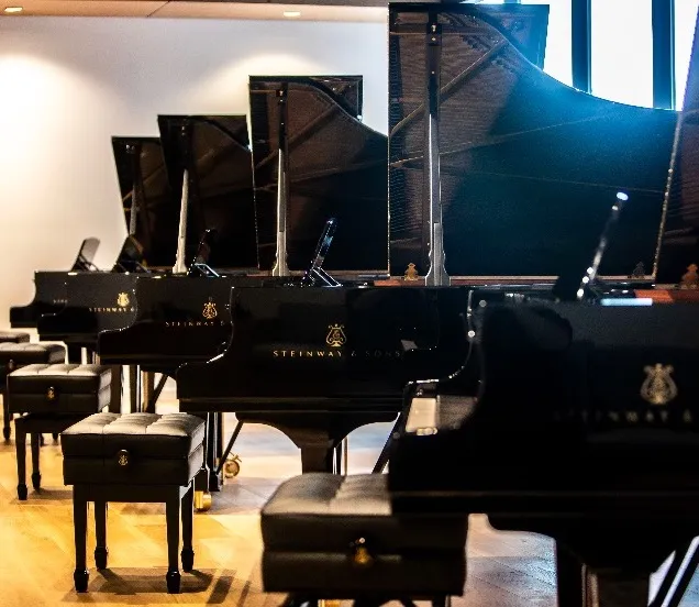 Steinway vleugels