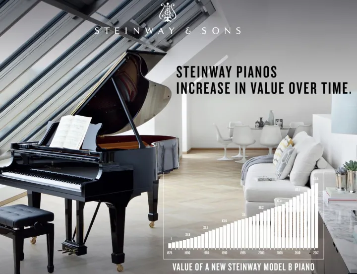 Steinway Investment