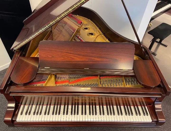 Steinway used